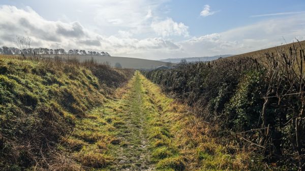 Chiltern Way 