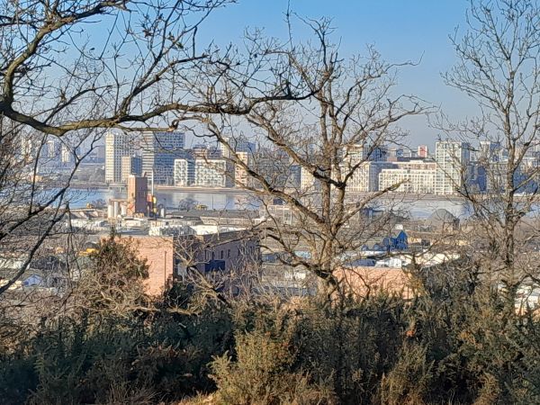 Top of Gilbert's pit