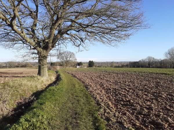 Heading down to Pattock's Farm