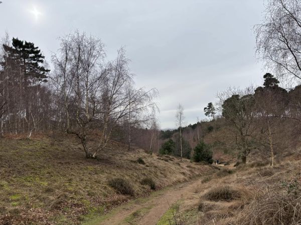 Scenery at the RSPB nature reserve