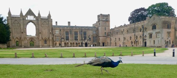 Newstead Abbey