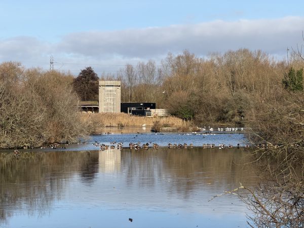 Lee Valley Wildlife Discovery Centre