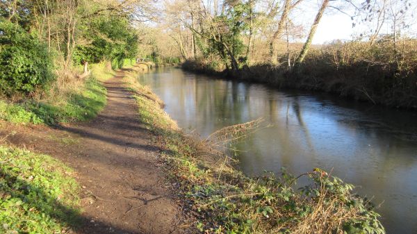 Ice on the Wey Navigation