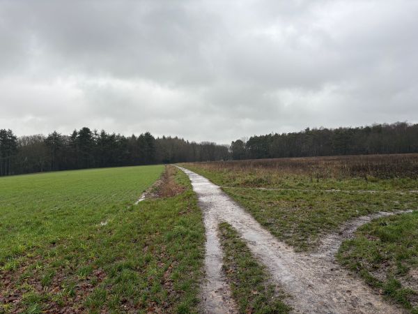 Childwickbury estate