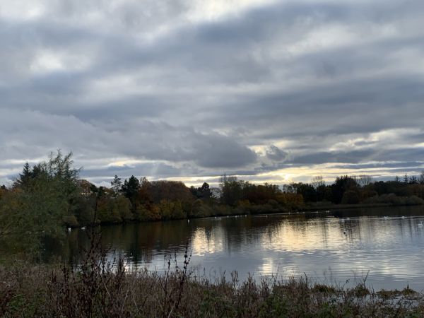 Winter view of Forfar loch