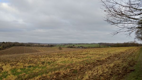 View towards Kimpton