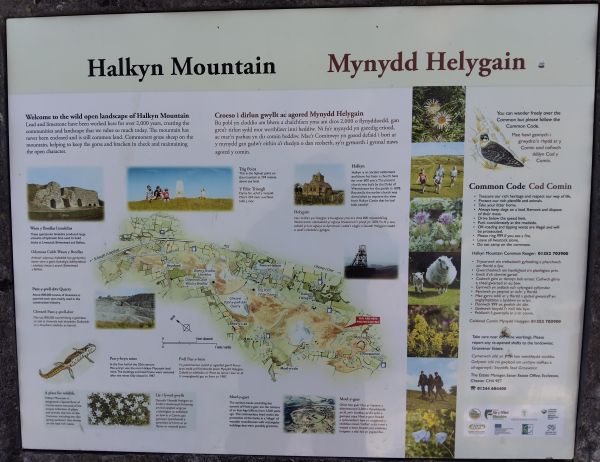 Information Board on Halkyn Mountain illustrating the history, flora and fauna to be found there.