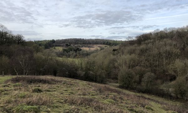 Headley Heath