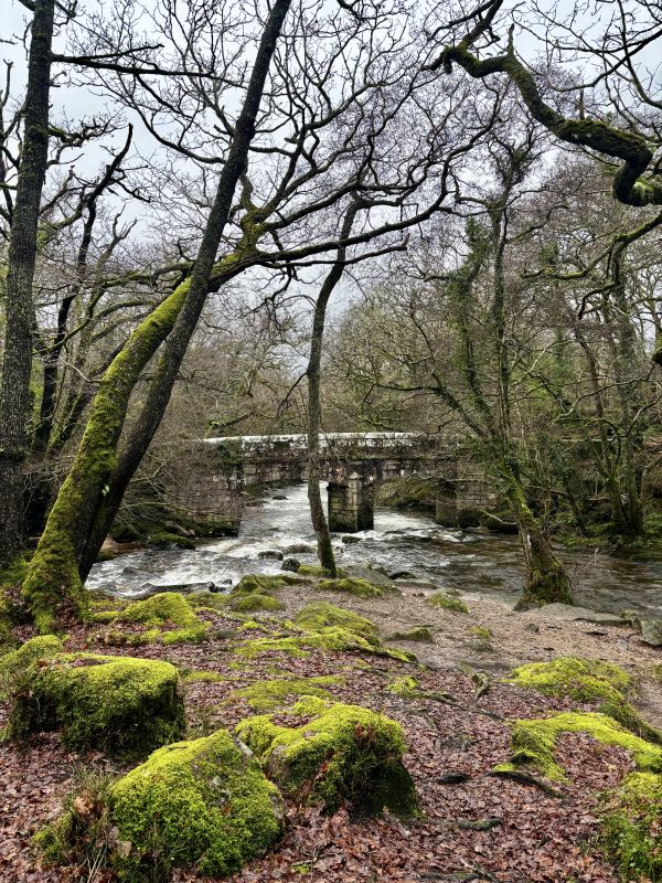 River flowing under Shaugh Bridge