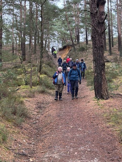 Our walk through the woods