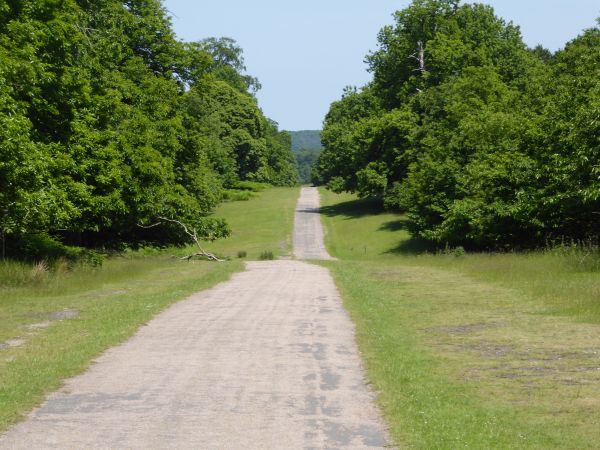 path at Knole