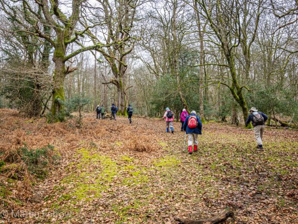 Ramblers walking through grass to trees