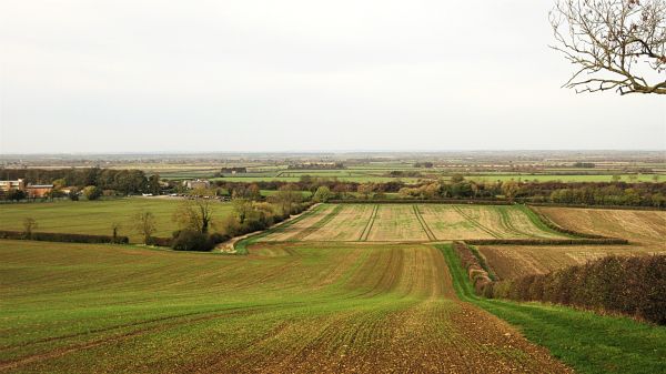 Distant views from Welbourn
