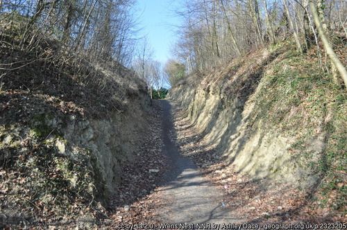 Wrens Nes NNR, copyright Ashley Dace, used under Creative  Commons Licence v2.0