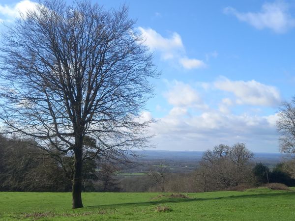 Montreal Forest Trail