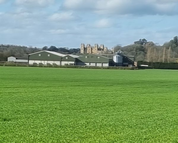 Distant view of Mentmore Towers