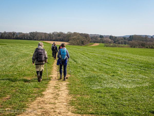 Ramblers walking across field in spring
