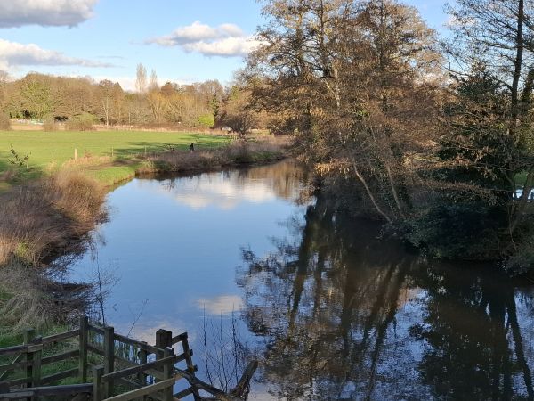 River Wey at Shalford