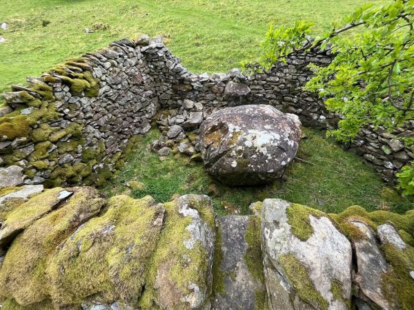 Andy Goldsworthy sheepfold