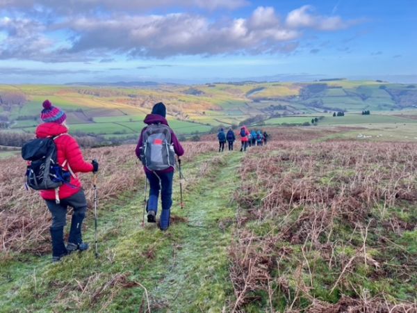 A group of hikers walking down a hill, with a view over the Radnor hills