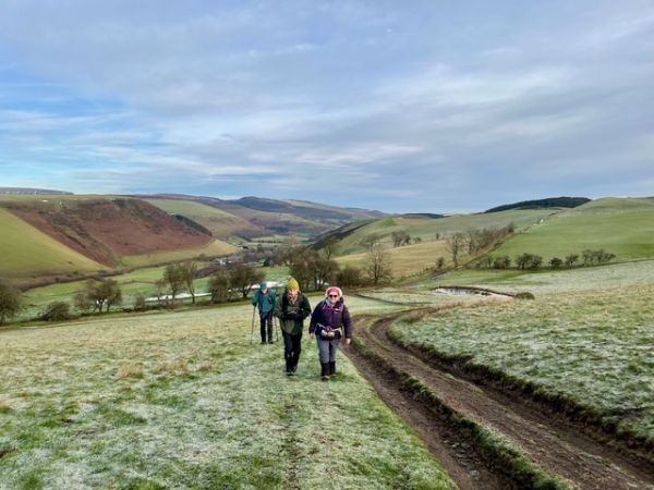 Looking back across a field with deep ruts caused by farm vehicles.