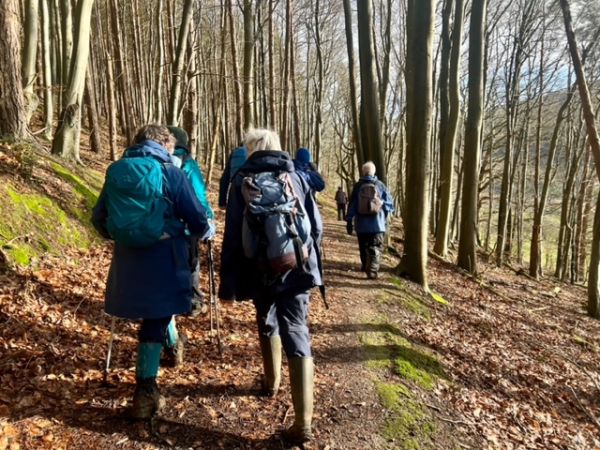 A group of walkers in a woods hiking through crunchy leaves on the floor.