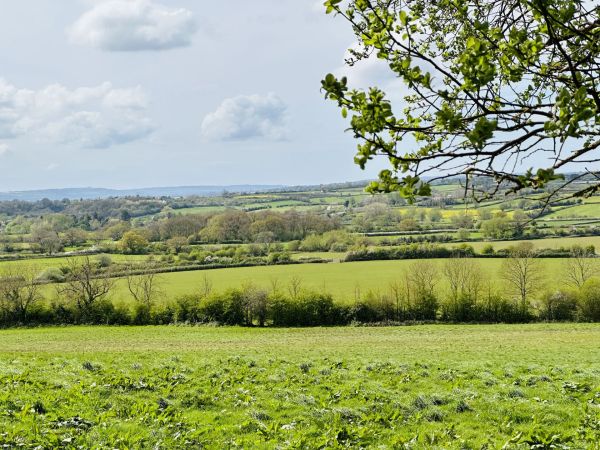 Marshfield countryside