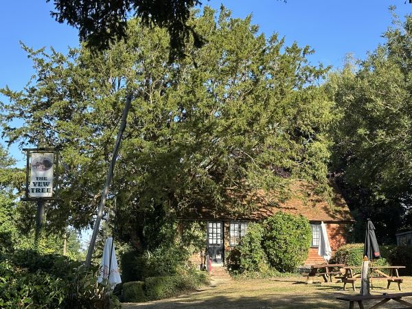 The Yew Tree Pub in Summer