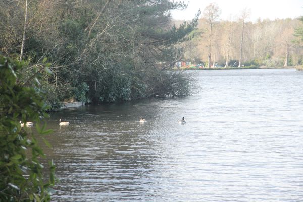 Heathlake - not actual weather