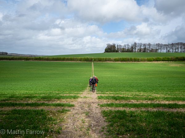 view over fields and sky