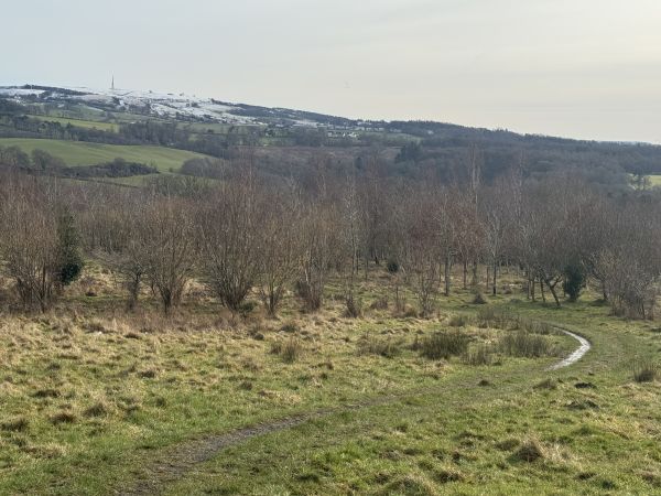 View of Muiravonside