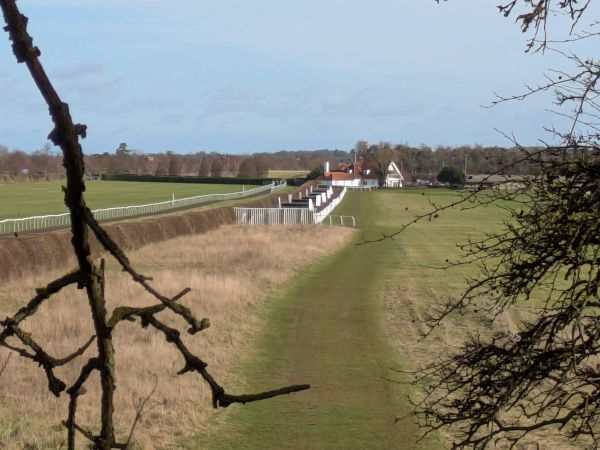 View of the Racecourse