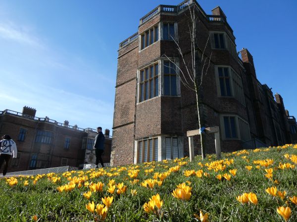Temple Newsam house with crocuses in the foreground