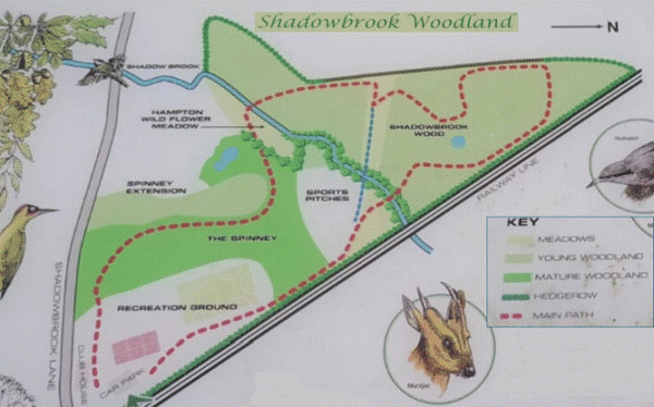 Shadowbrook Woodland Trail