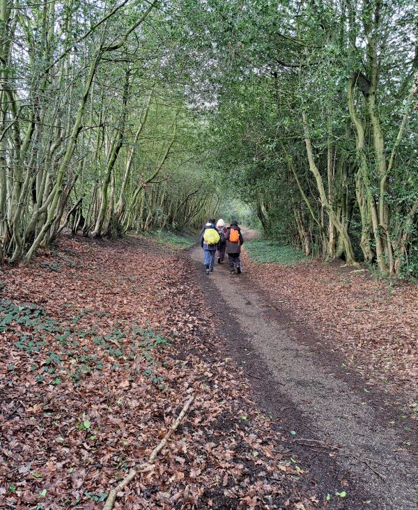 Walkers in woodland