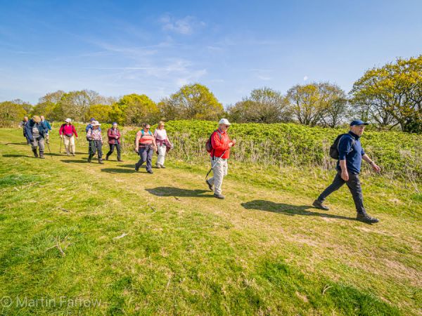 ramblers walking in spring sunshine