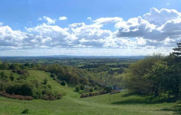 View of Waseley Hills