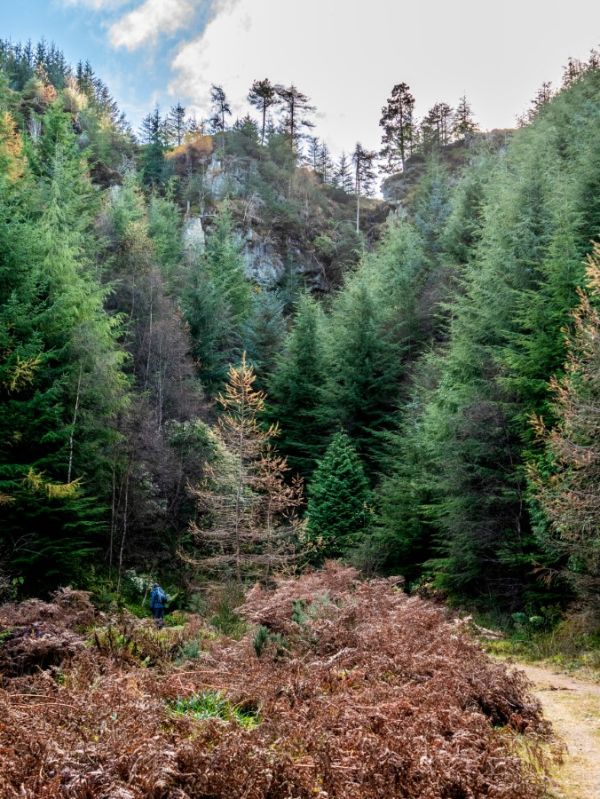 Arraty Crags from below