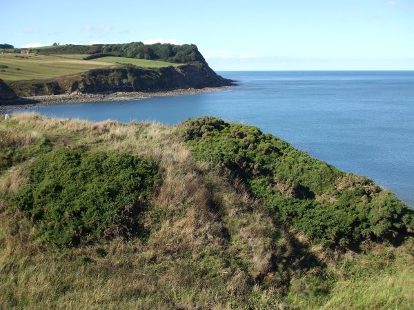 Coastline with cliffs