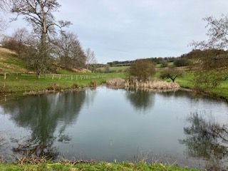 Pond at Rendcomb