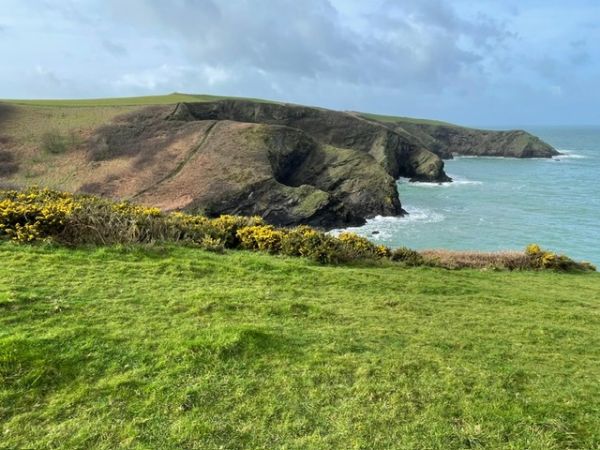 On the Coast Path looking towards Varley Headland