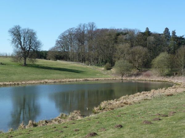 A pond