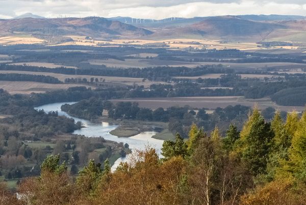 Looking north over the Tay from Kinnoull Hill