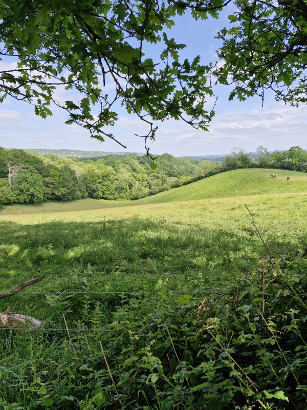 Sunshine over Chilworth 