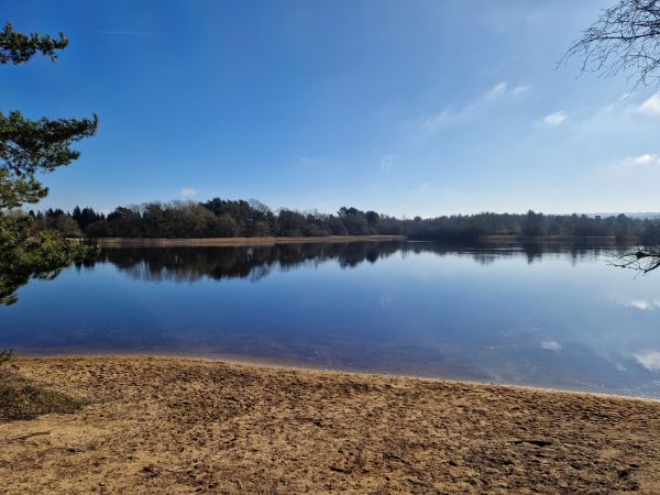Frensham Pond