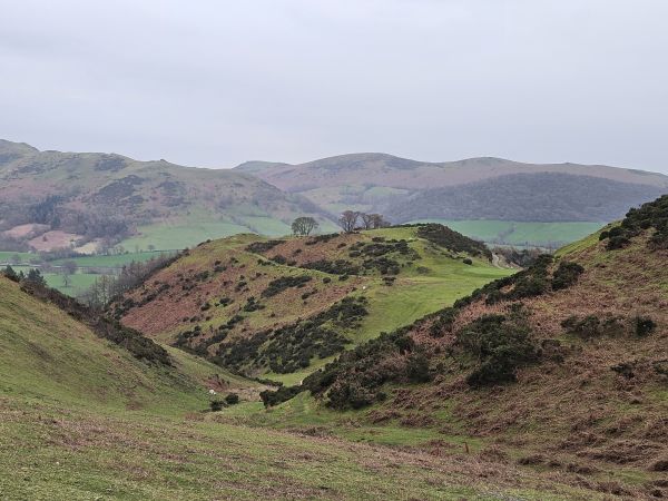 above the golf course