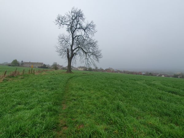 View towards Worthington village