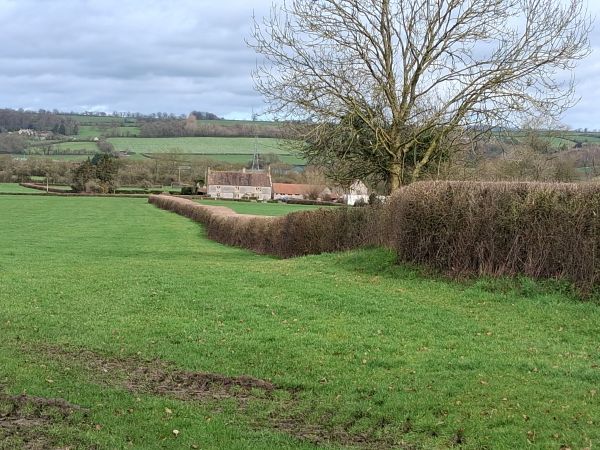 Holt Farm in need of help!