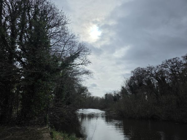 River Wensum