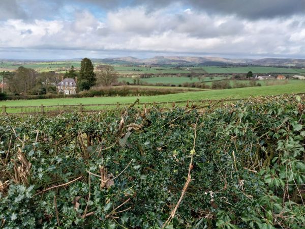 Beacon Banks looking at the White Horsee